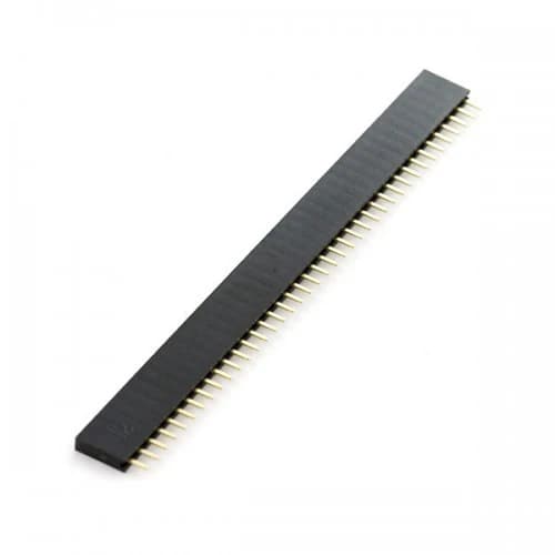 Single inline female header (40 pins)